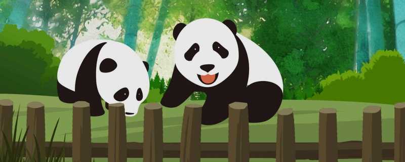 白色大熊猫影像首公开是什么情况 白色大熊猫影像首公开为什么是白色的