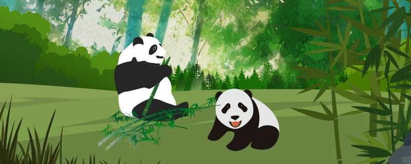死亡野生大熊猫为成年雌性 官方通报死亡大熊猫核查情况