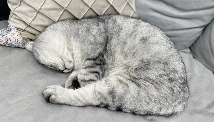 一上班就胸闷咳嗽，元凶竟是同事